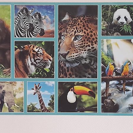 Appartement Animalier à Joigny Extérieur photo