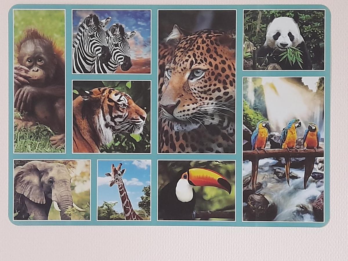 Appartement Animalier à Joigny Extérieur photo